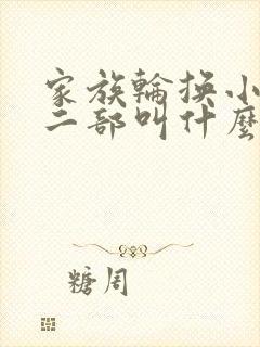 家族轮换小说第二部叫什么名字