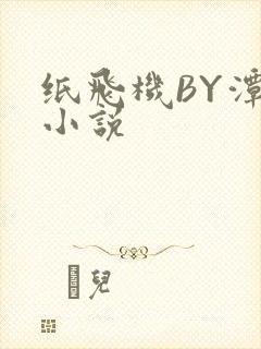 纸飞机BY潭石小说