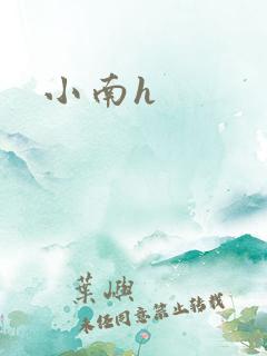 小南h