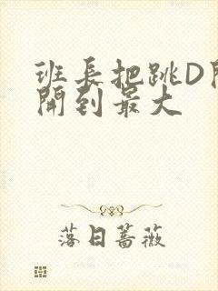 班长把跳D开关开到最大