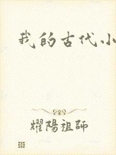 我的古代小夫侍