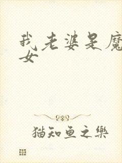 我老婆是魔法少女