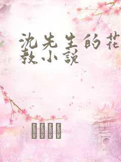 沈先生的花式调教小说