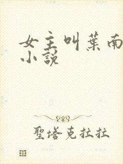 女主叫叶南初的小说