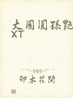 大团圆孙艳梅TXT