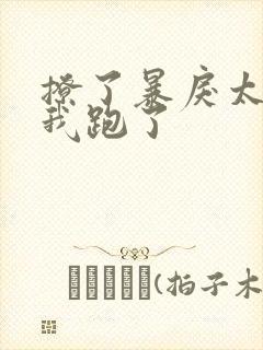 撩了暴戾太子后我跑了