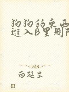 狗狗的东西直接进入B里删除