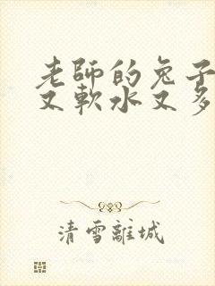 老师的兔子又大又软水又多