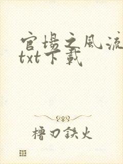 官场之风流人生txt下载