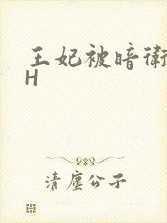王妃被暗卫肉高H