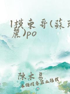 l模东哥(苏玛丽)po