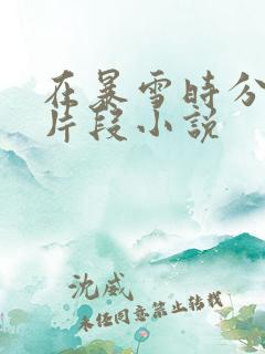 在暴雪时分高能片段小说