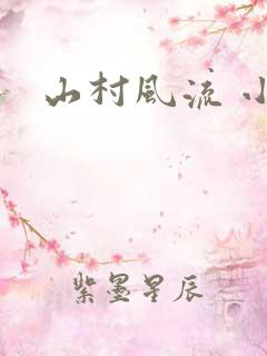 山村风流 小说