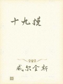 十九摸