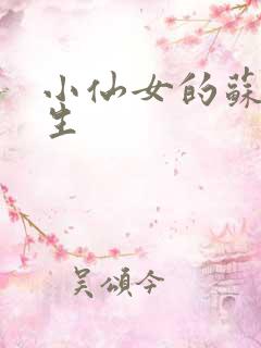 小仙女的苏撩先生