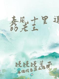 春风十里 退休的老王