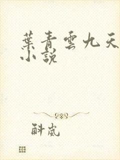 叶青云九天玄宗小说