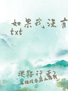如果我没有爱过txt