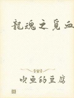 龙魂之觅血心缘