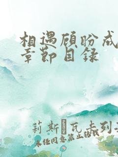 相遇顾盼成欢全章节目录