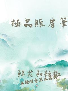 极品账房笔趣阁