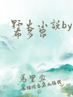 野火小说by夏布多昂