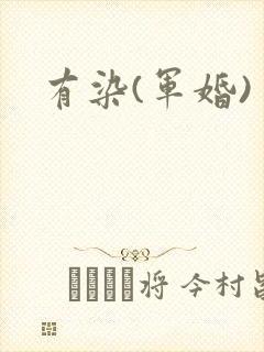 有染(军婚)