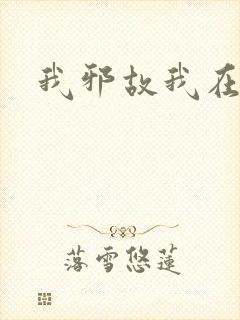 我邪故我在