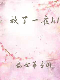 放了一夜h11