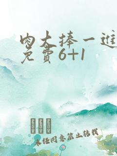 肉大捧一进一出免费6+1