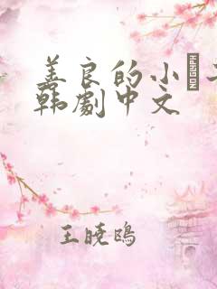 善良的小峓子2韩剧中文