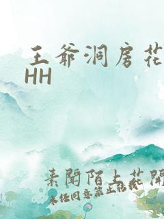 王爷洞房花烛夜HH