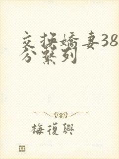 交换娇妻38部分系列