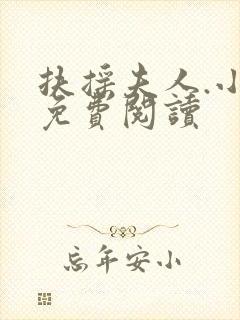 扶摇夫人.小说免费阅读