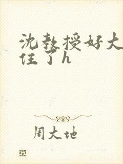 沈教授好大含不住了h