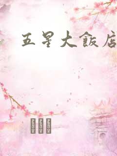 五星大饭店小说