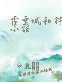 霍云城和舒情的小说