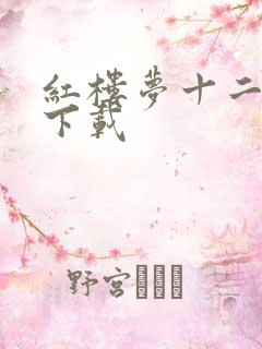 红楼梦十二金钗下载