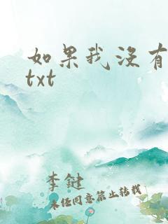 如果我没有爱过txt