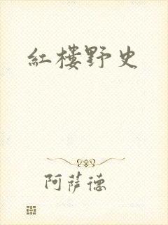 红楼野史
