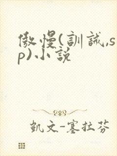 傲慢(训诫,sp)小说