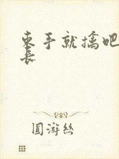 束手就擒吧韩队长