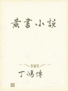 黄书小说