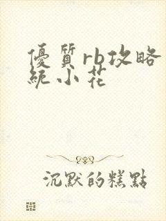 优质rb攻略系统小花