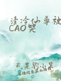 清冷仙尊被强制CAO哭