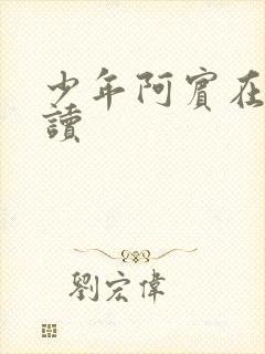 少年阿宾在线阅读