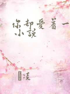 你却爱着一个他 小说