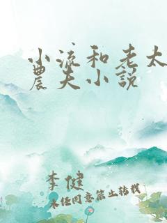 小流和老太69农夫小说