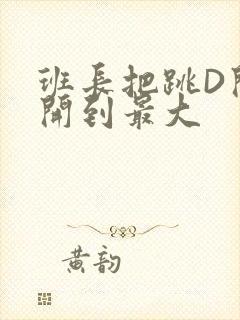 班长把跳D开关开到最大