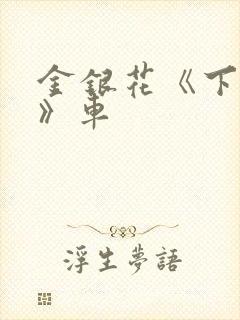 金银花《下厨房》车